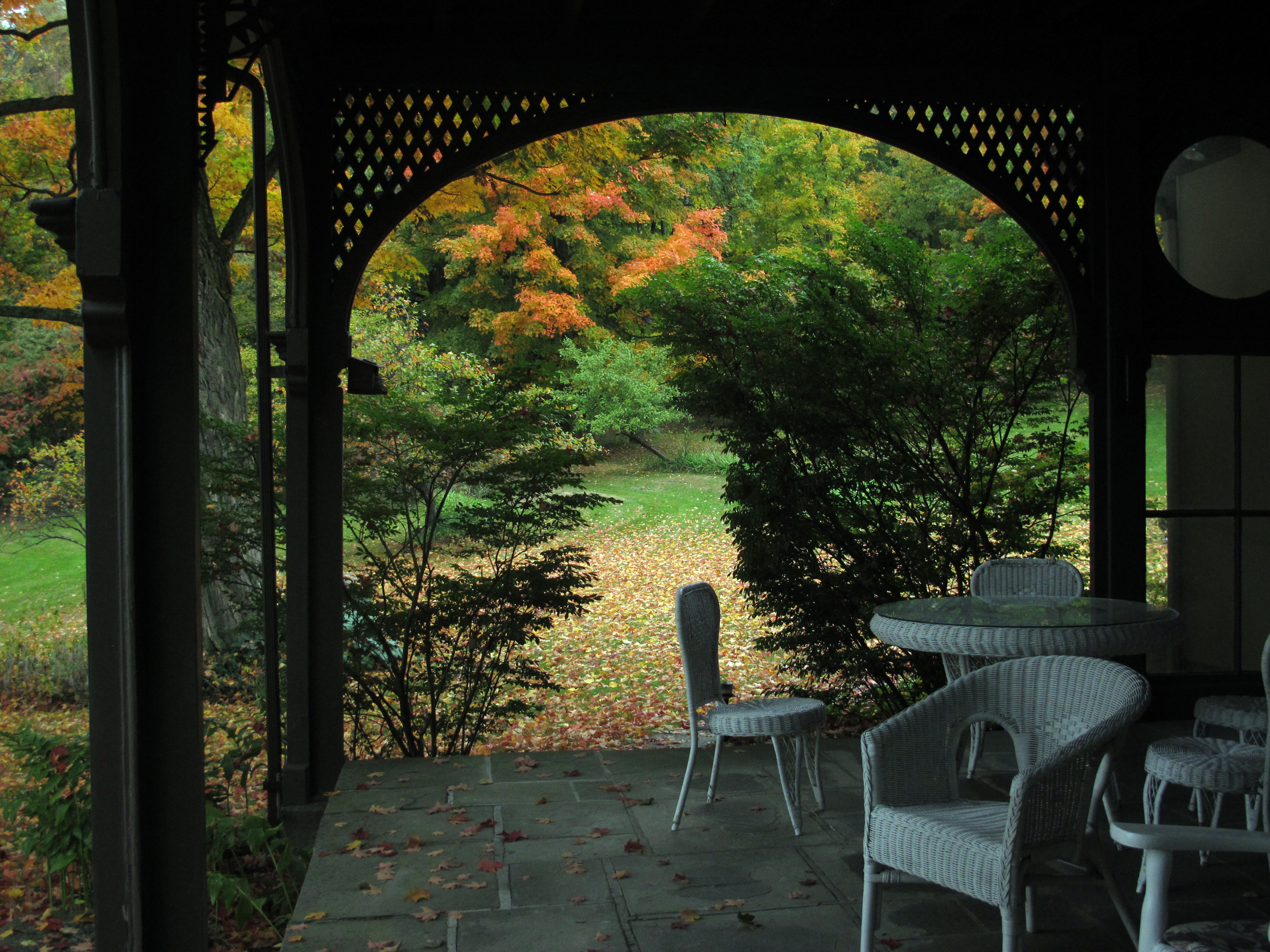 Autumn view from the porch