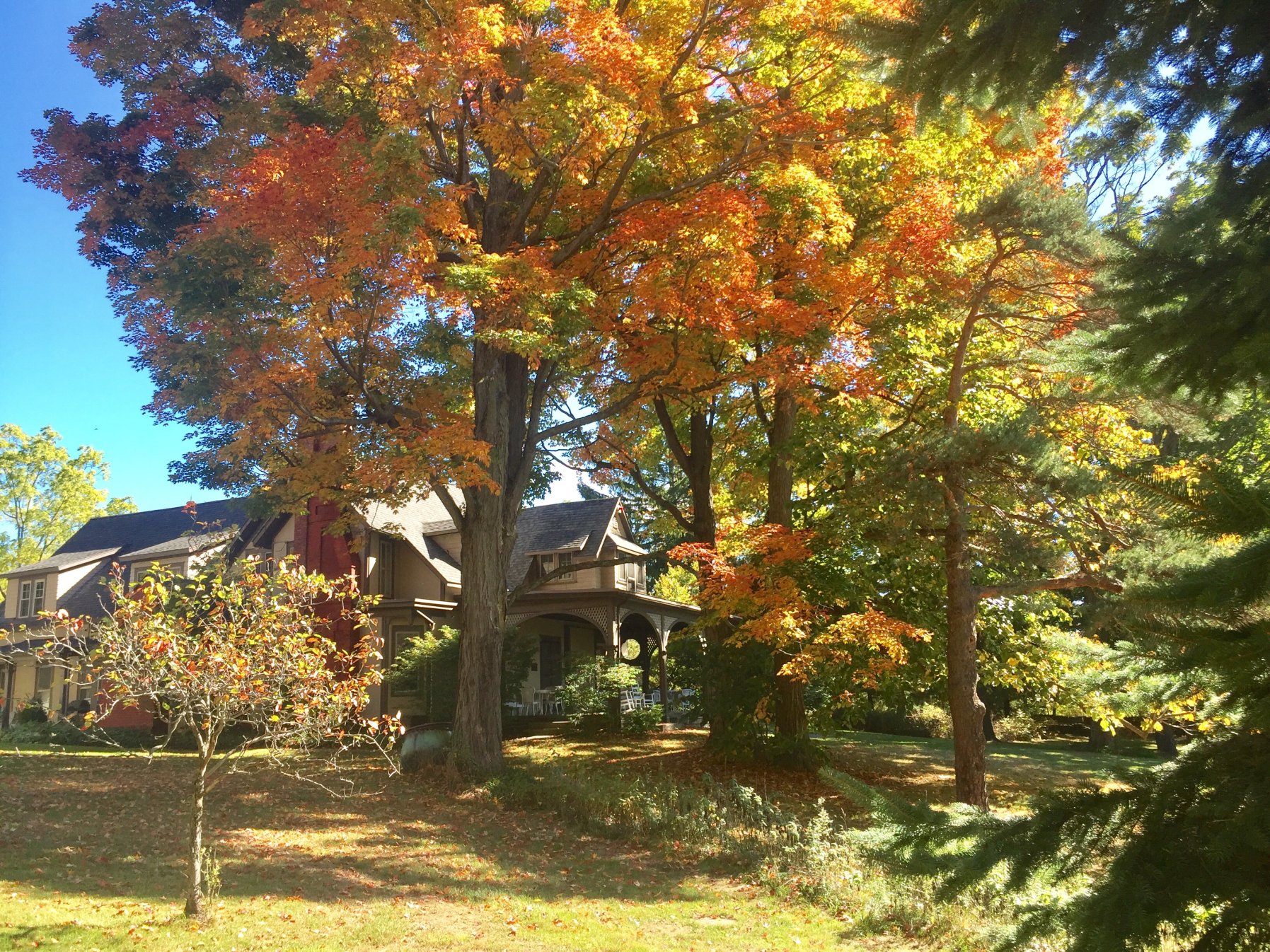 The farmhouse amid brilliant autumn colors
